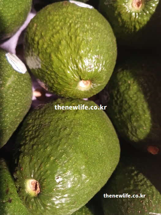 아보카도 효능 피부 미용 비타민 E