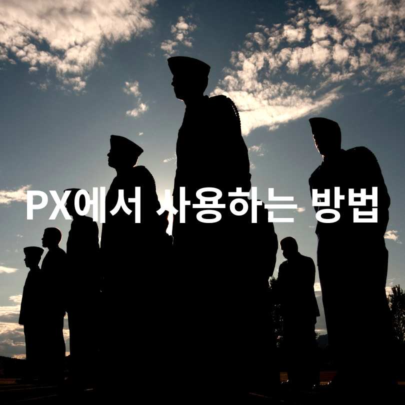 민생회복 소비쿠폰을 PX에서 가능할까?