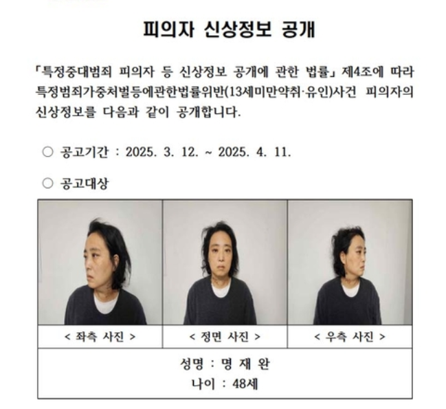 대전 초등생 흉기 사건