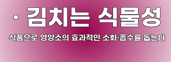  · 김치는 식물성 식품으로 영양소의 효과적인 소화·흡수를 돕는다
