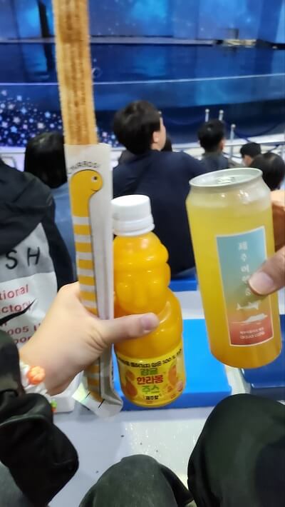 아쿠아 플라넷 제주