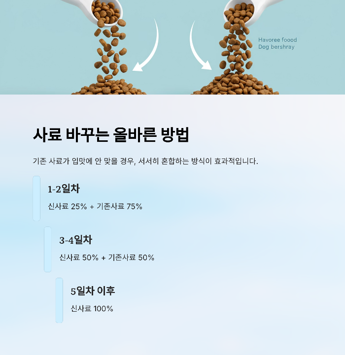 강아지 사료 안먹을때