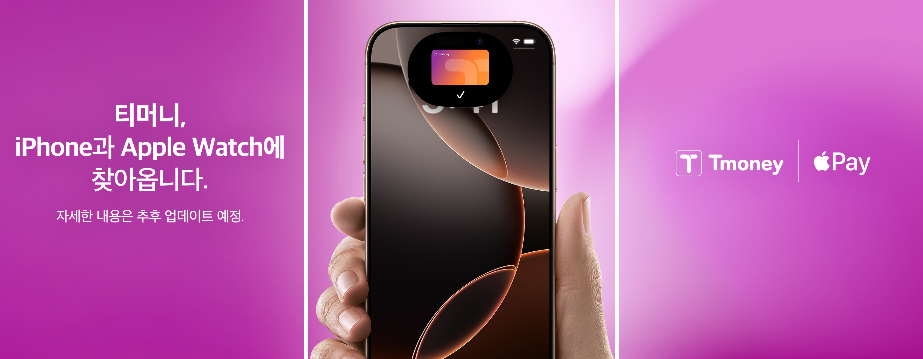 아이폰 티머니, 애플페이 교통카드 이미지