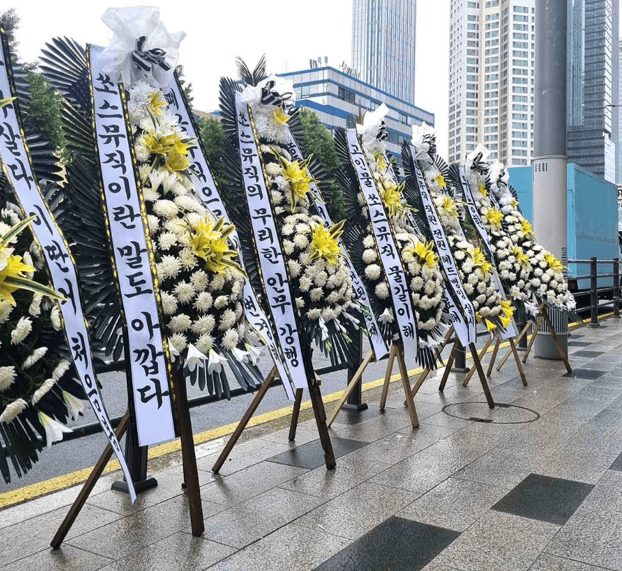 김채원 활동중단