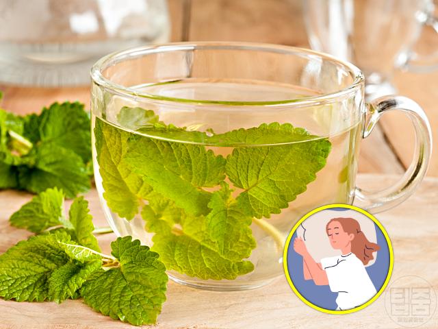 수면장애 치료 좋은 차 천연 수면유도제 추천 레몬밤차