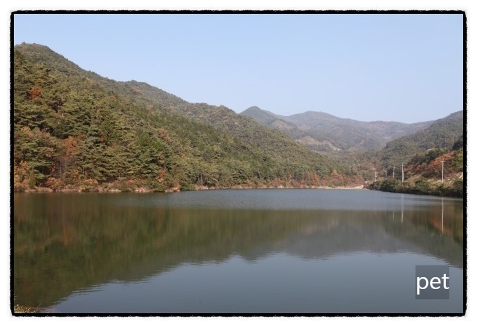 곡성-꿈꾸는캠핑장