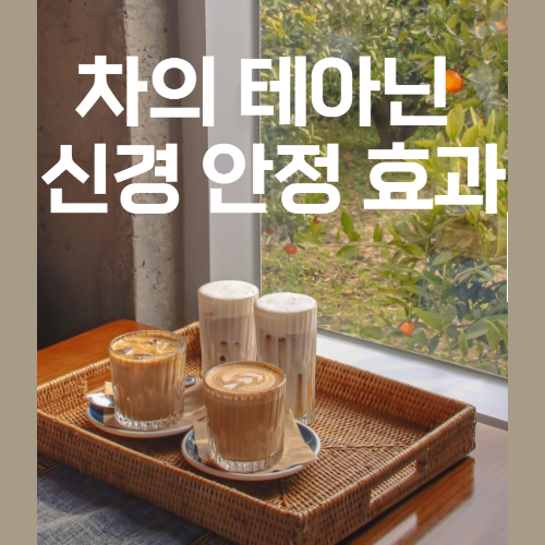 차의 테아닌 사진