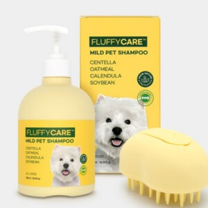 2023 반려인 능력시험