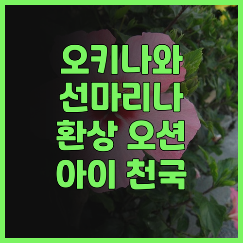 오키나와 쉐라톤 선마리나 리조트 후기..