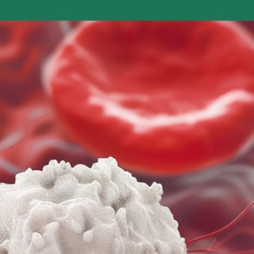 백혈구 수치가 낮은 이유