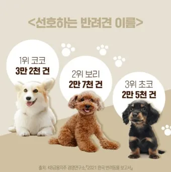 반려견 이름 작명 독특한 강아지 이름 제안_6