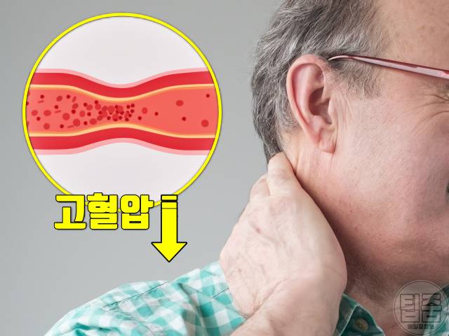 슈퍼푸드 오트밀 효능 고혈압,오트밀 먹는법