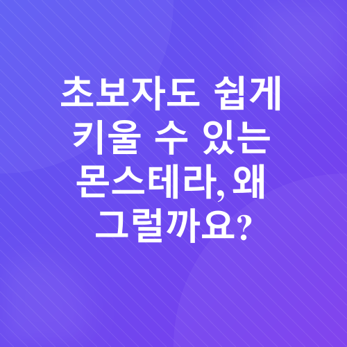 몬스테라 키우기_2