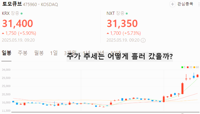 니파 바이러스 관련주 대장주 테마주 수혜주 TOP5