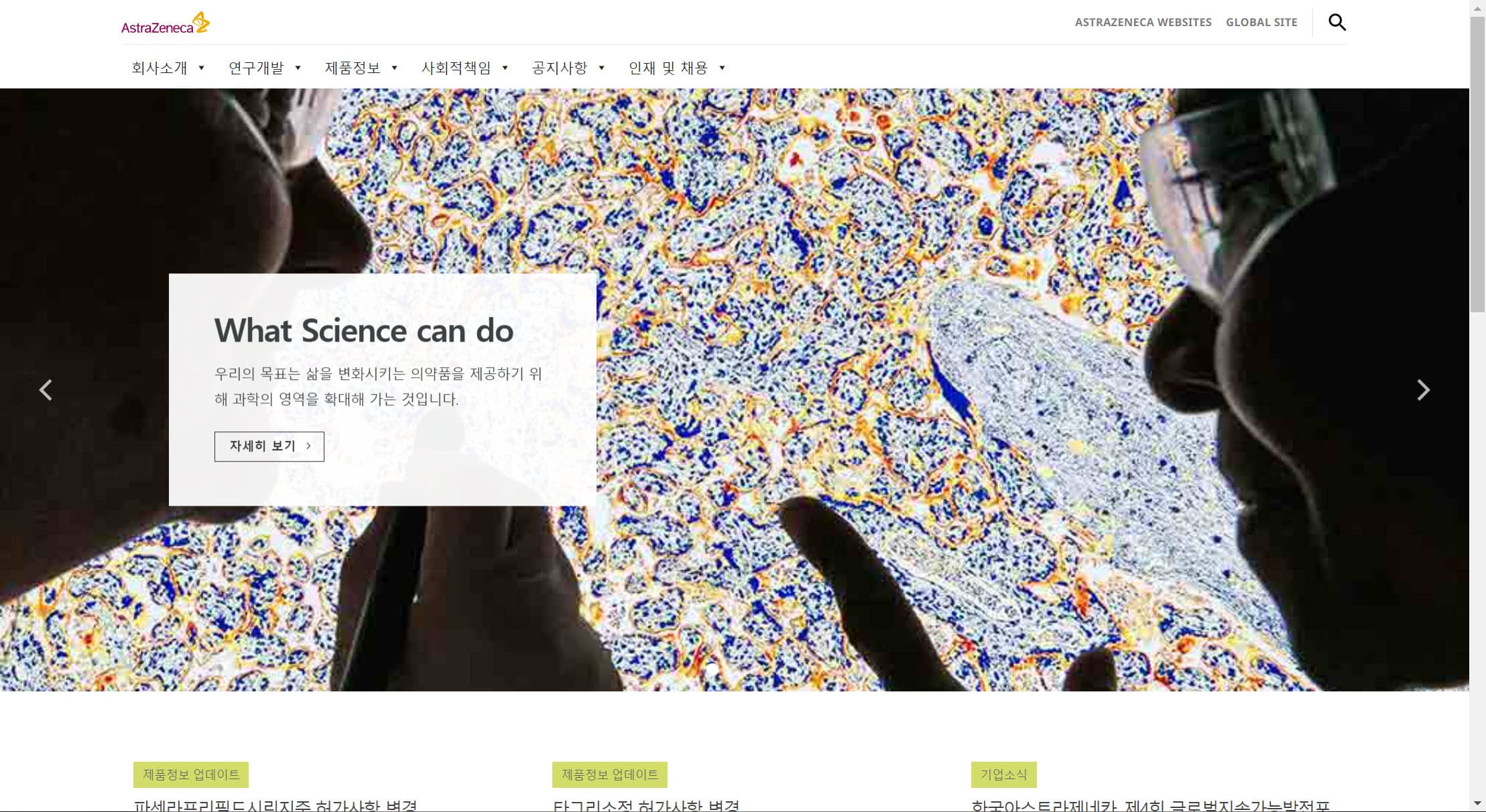 한국 아스트라제네카 사이트, 워드프레스로 제작