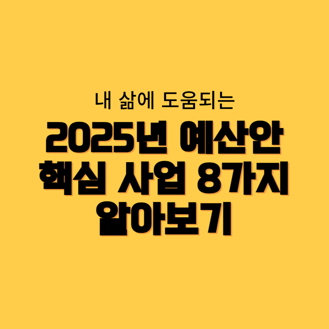 2025 예산안 핵심 사업 8가지 정리