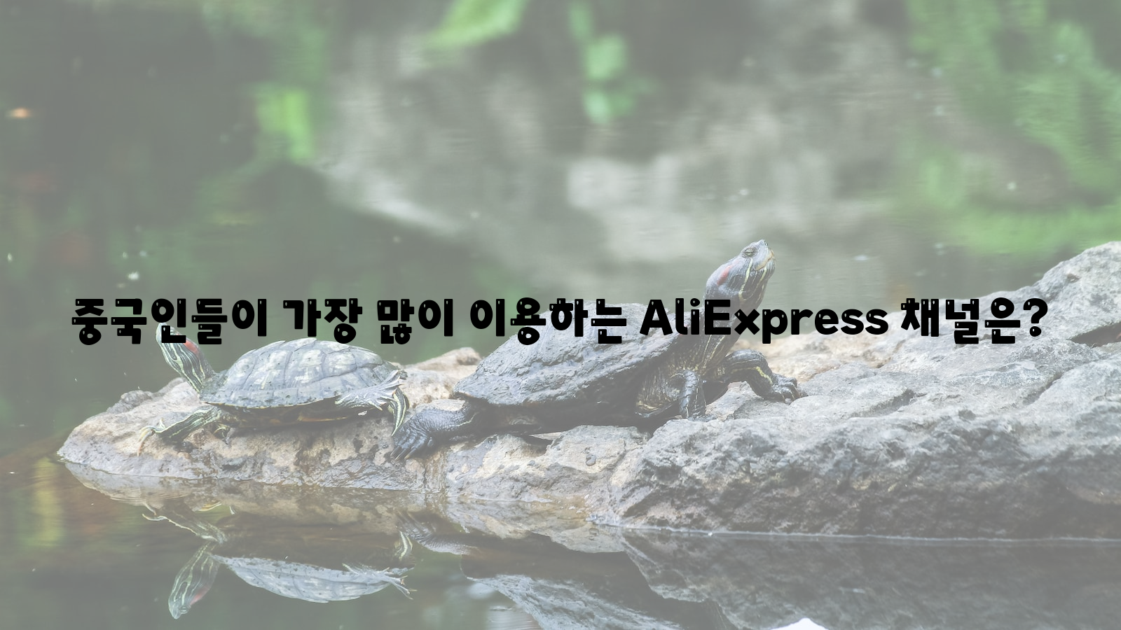 중국, AliExpress, 이용