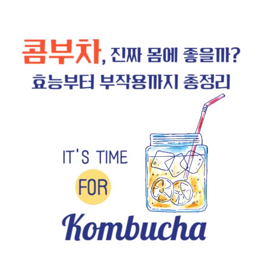 콤부차, 진짜 몸에 좋을까? 효능부터 부작용까지 총정리