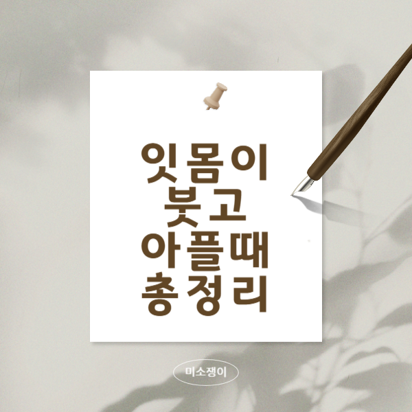 잇몸이-붓고-아플때-먹는-약과-어금니-민간요법