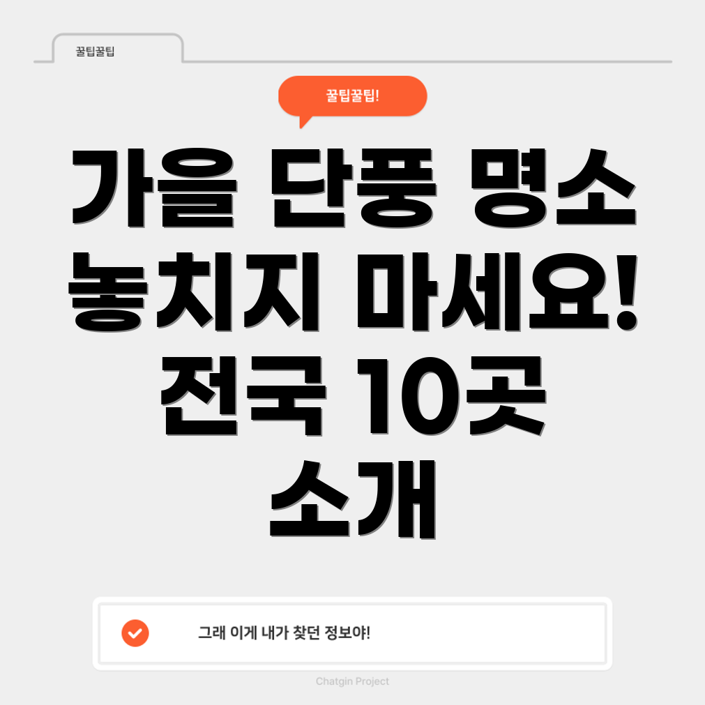 단풍
