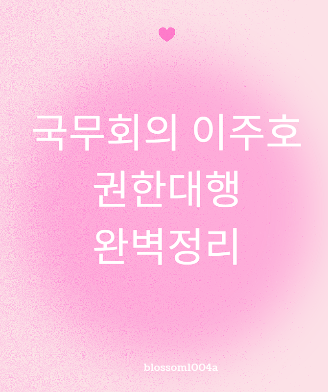 국무회의 이주호 권한대행 완벽정리