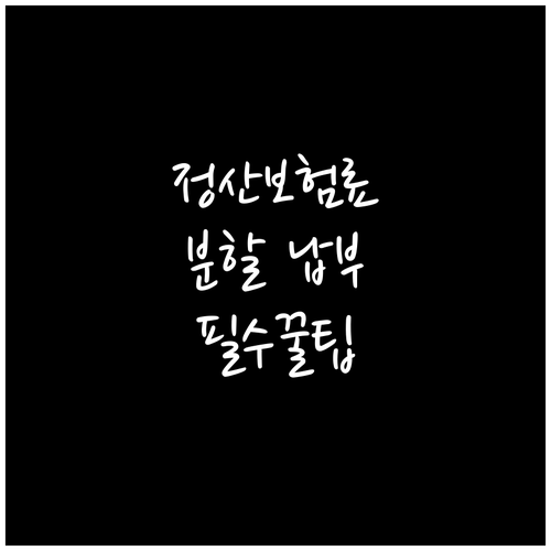 건강보험 정산보험료 분할 납부 신청 ..