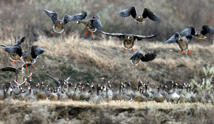 생생 정보통 맛집 오늘 방송