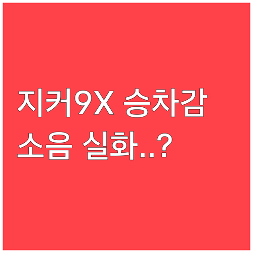 프리미엄 대형 SUV 지커 9X 승차..