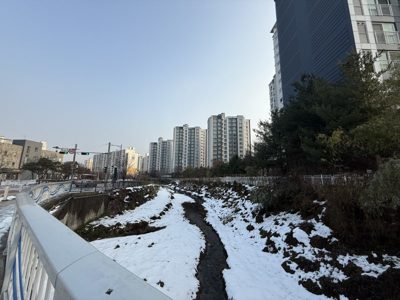 안양&middot;군포 반려견 산책 어디가 좋을까? 겨울에도 걷기 좋은 명소 추천