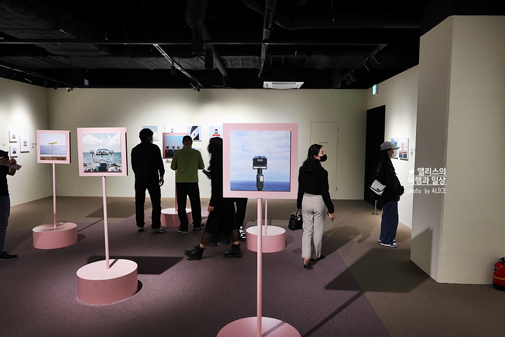 우연히 웨스 앤더슨 전시 추천, 그라운드 시소 성수