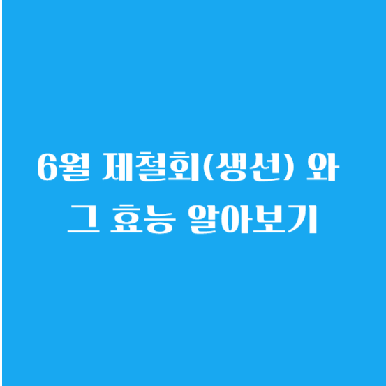 6월 제철회(생선) 와 그 효능 알아보기