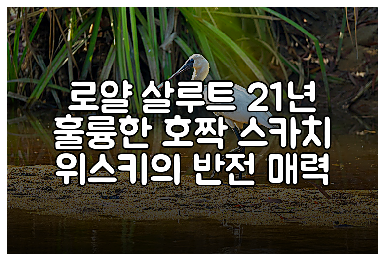 로얄 살루트 21년 훌륭한 호짝 스카치 위스키의 반전 매력