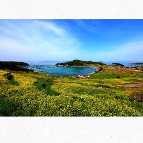 전남 완도 청산도 푸른 들판과 바다