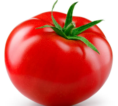 토마토