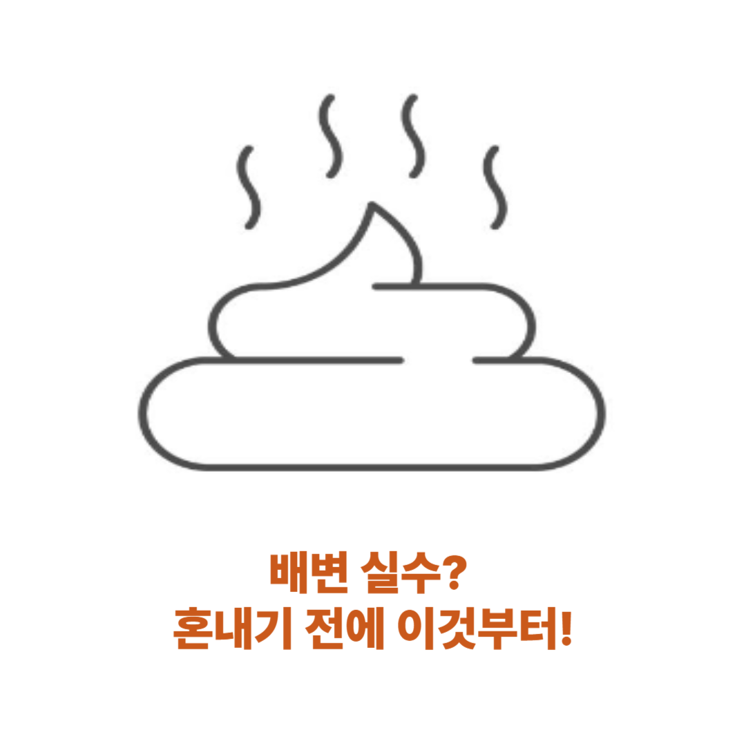 배변실수를 했다면, 환경을 먼저 바꿔주세요
