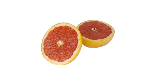자몽2 