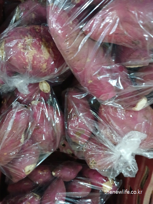 비닐에 담긴 고구마 – 혈당 조절과 포만감에 좋은 마른비만 예방 식품