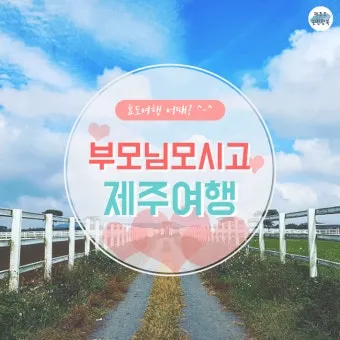 제주 부모님과 여행코스 추천 효도 여행지 완전정리_5