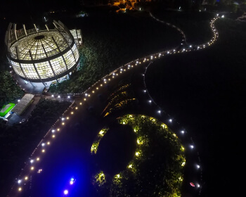 무안 연꽃축제 야간_4