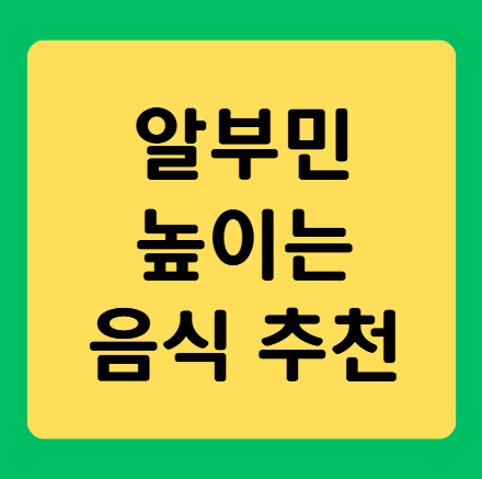 알부민 높이는 음식 추천 리스트