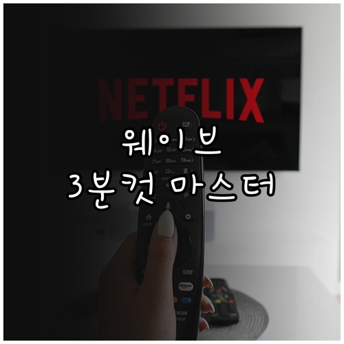 Wavve 어플 다운로드 및 회원가입..