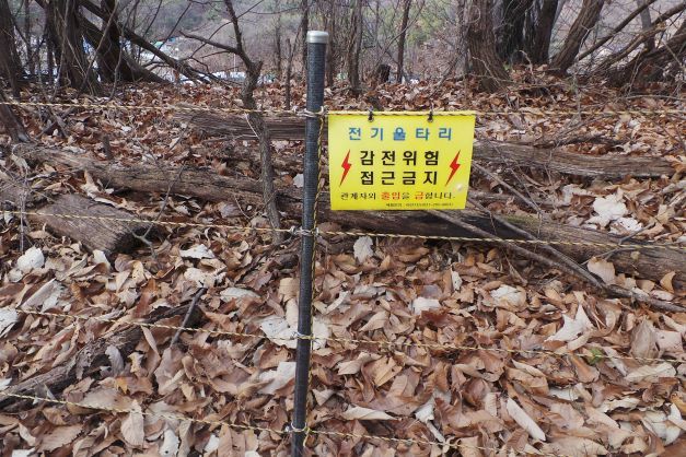 전기울타리 감전 접근금지 경고문