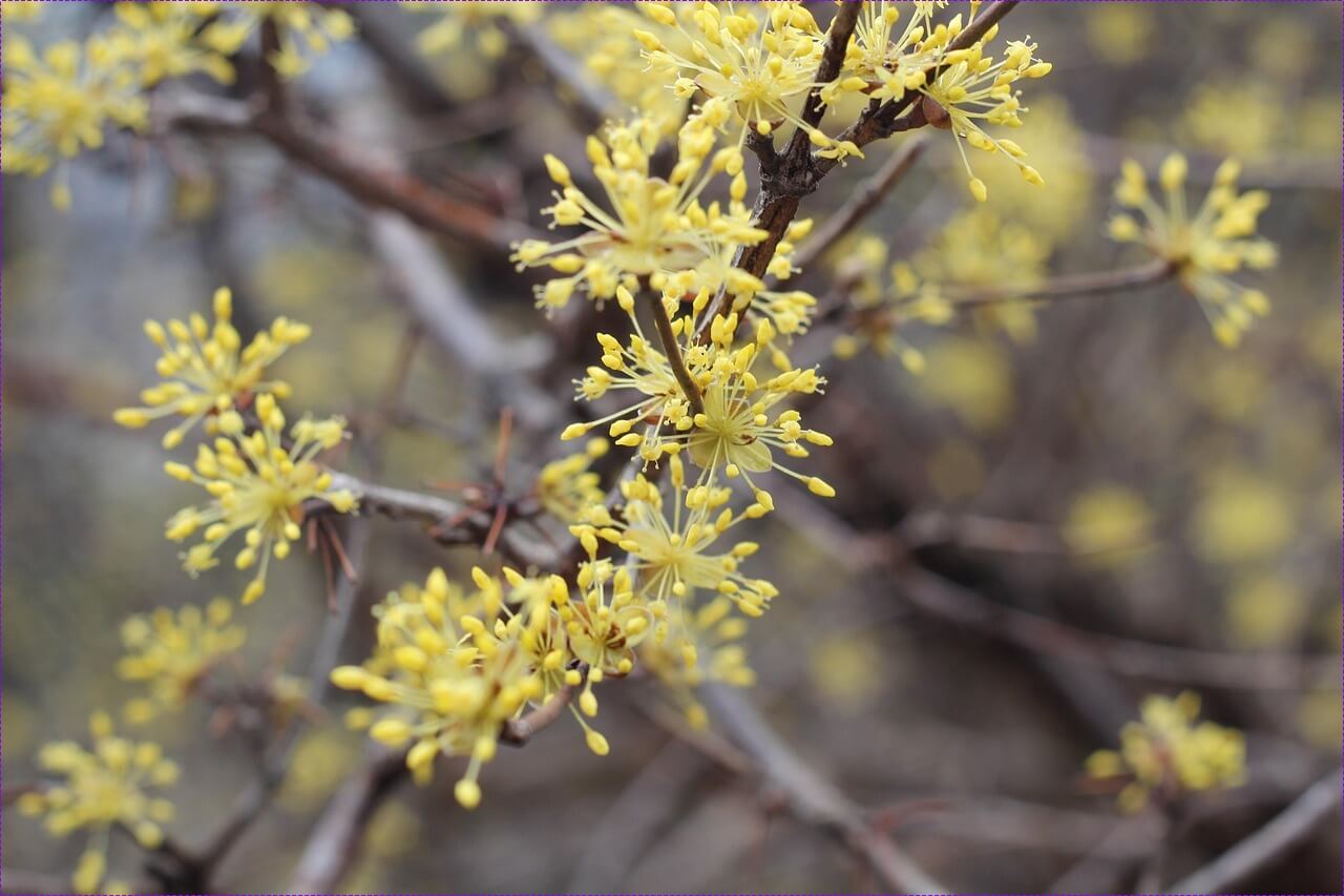 적금금리 높은 곳