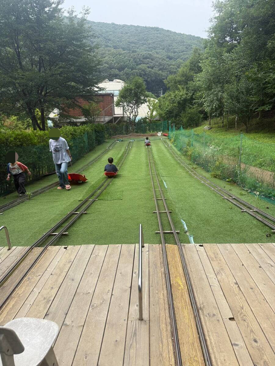 용인 동천자연식물원 아이와 타는 야외 레일썰매