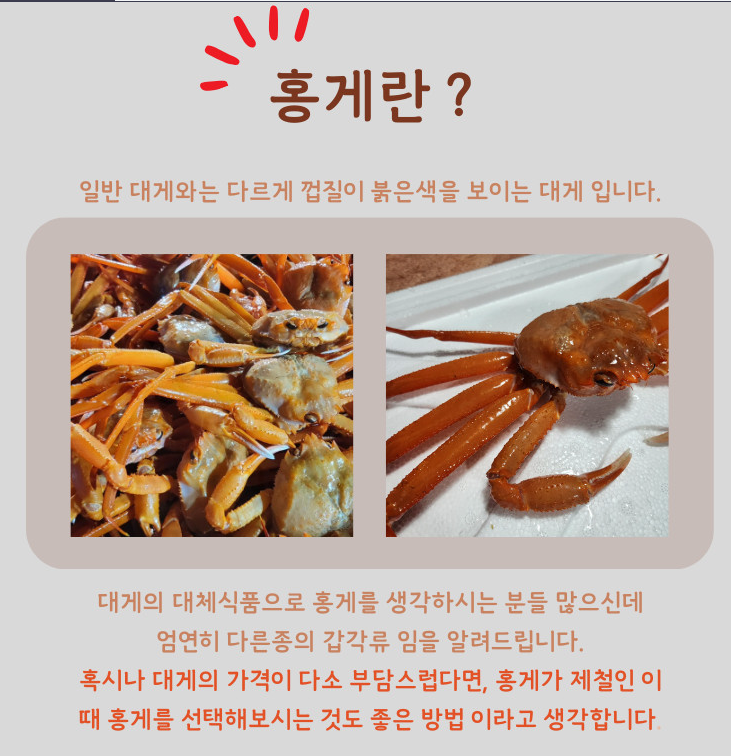 6시내고향 영덕대게 러시아대게 홍게 가격 및 구매 정보