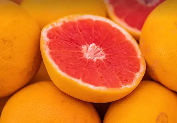 자몽 효능 부작용 종류, 자몽청 에이드 주스 쌉싸름한 매력