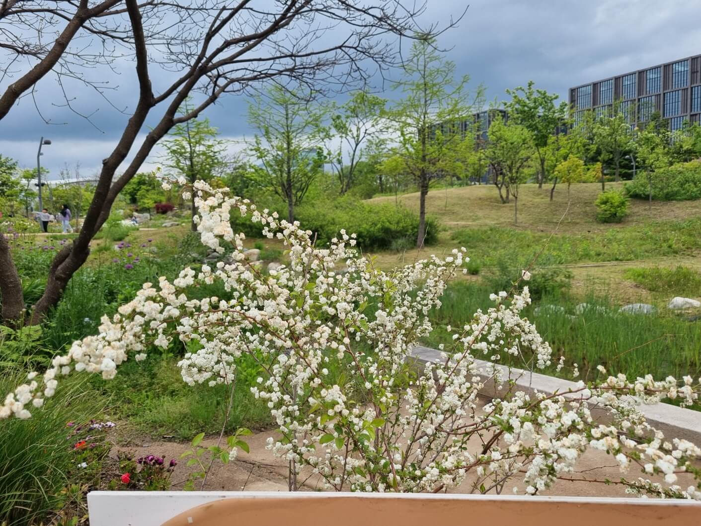 보라매공원 2025 서울 국제정원박람회 일정 가는 길