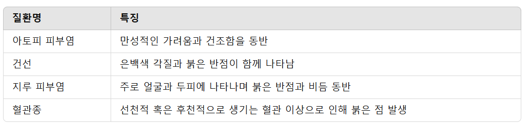 몸에 생긴 붉은 점의 원인 (대표적인 피부 질환)