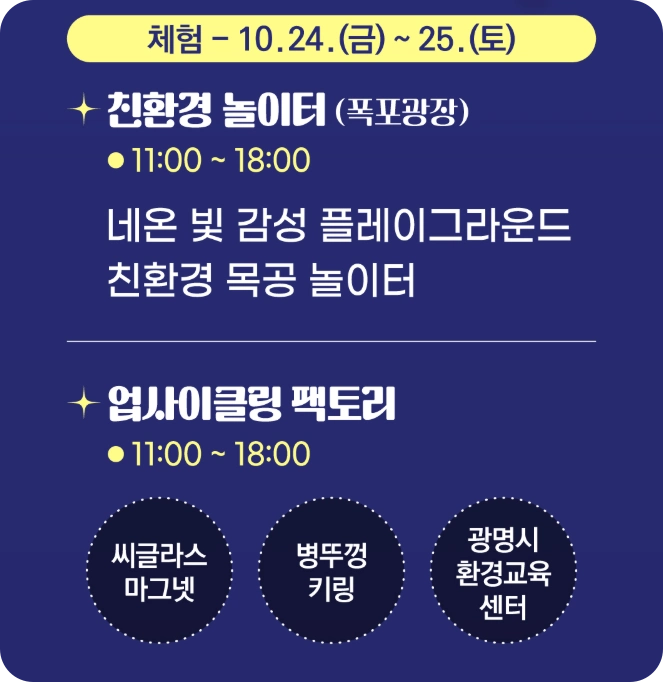 빛 축제 일자별 체험 안내 이미지