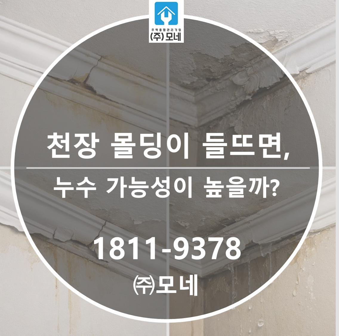 천장 몰딩이 들뜨면 누수 가능성이 높을까?